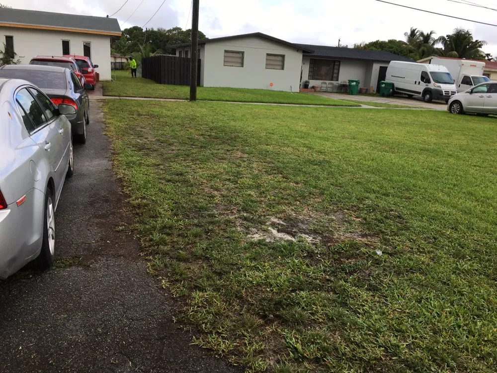 Professional yard maintenance in Miami, FL by Stuckey Lawn and Maintenance