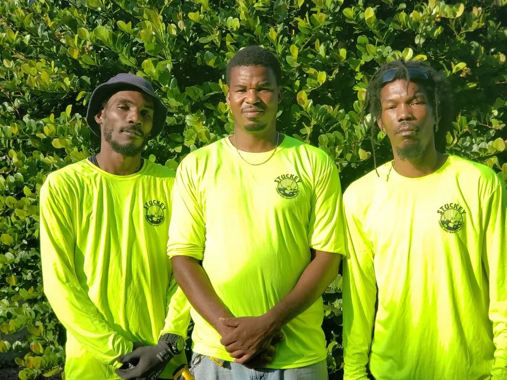 Affordable landscape design in Miami, FL - Stuckey Lawn and Maintenance