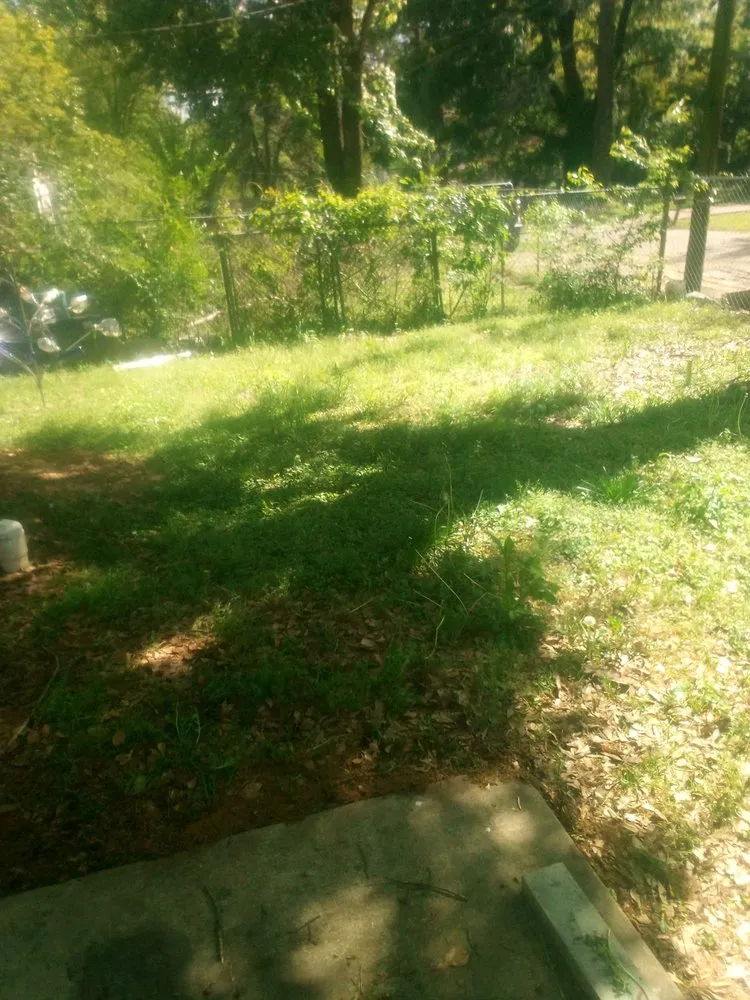 Expert landscaping services experts serving Jackson, MS - Stuckey's Lawn Care & Maintenance Service