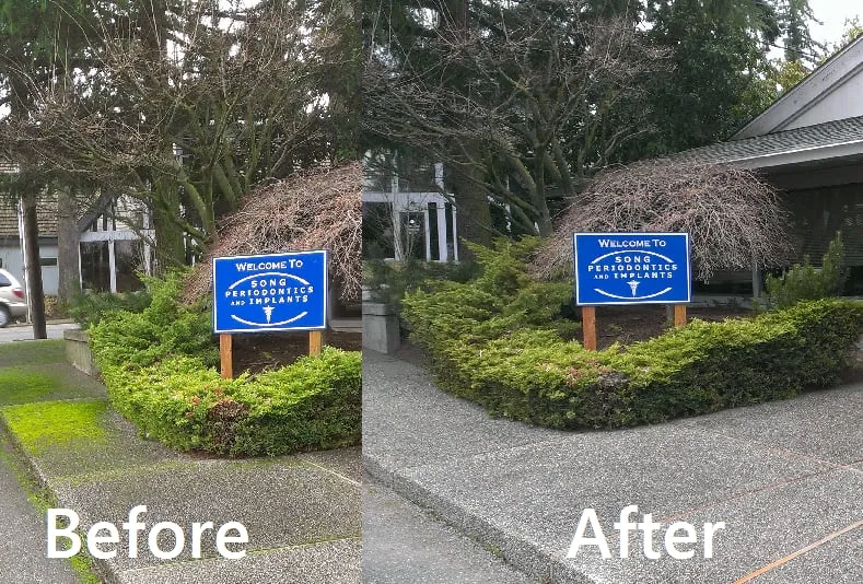 Trusted landscape installation in Lynnwood, WA by Student Landscapers and Home Maintenance