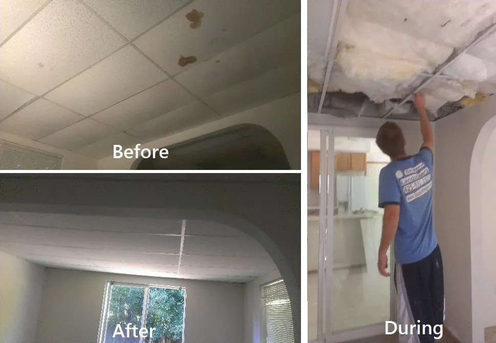 Top-rated landscape installation in Lynnwood, WA - Student Landscapers and Home Maintenance