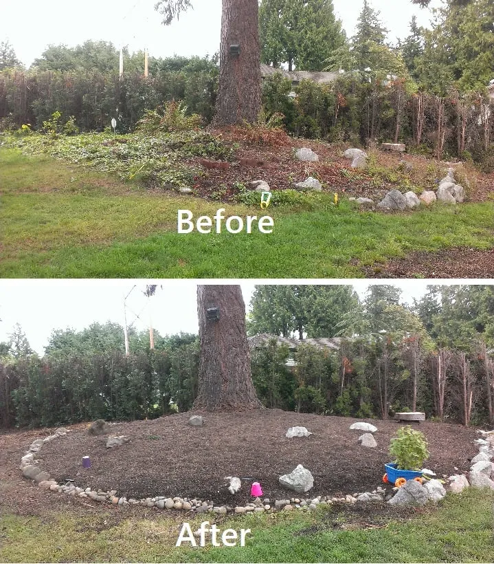 Expert yard cleanup service experts serving Lynnwood, WA - Student Landscapers and Home Maintenance
