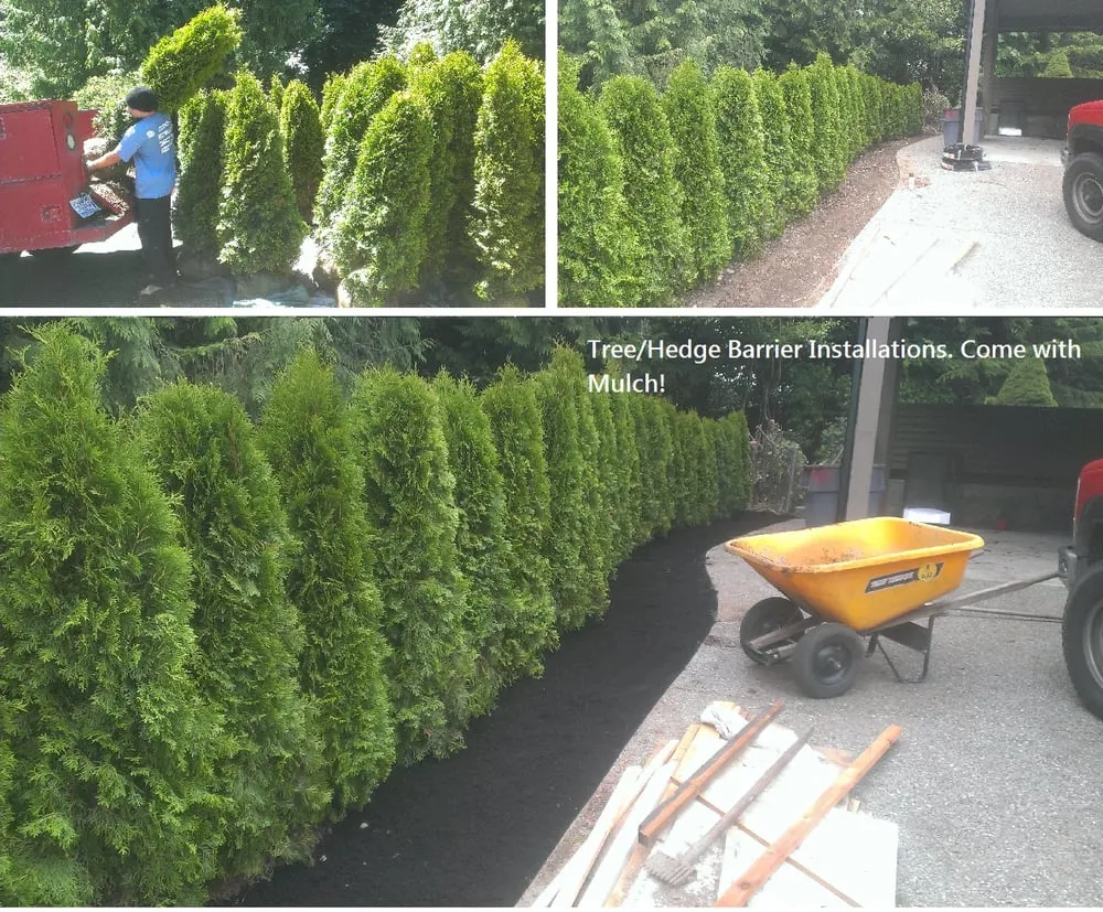 Reliable yard cleanup service for year-round maintenance in Lynnwood, WA by Student Landscapers and Home Maintenance