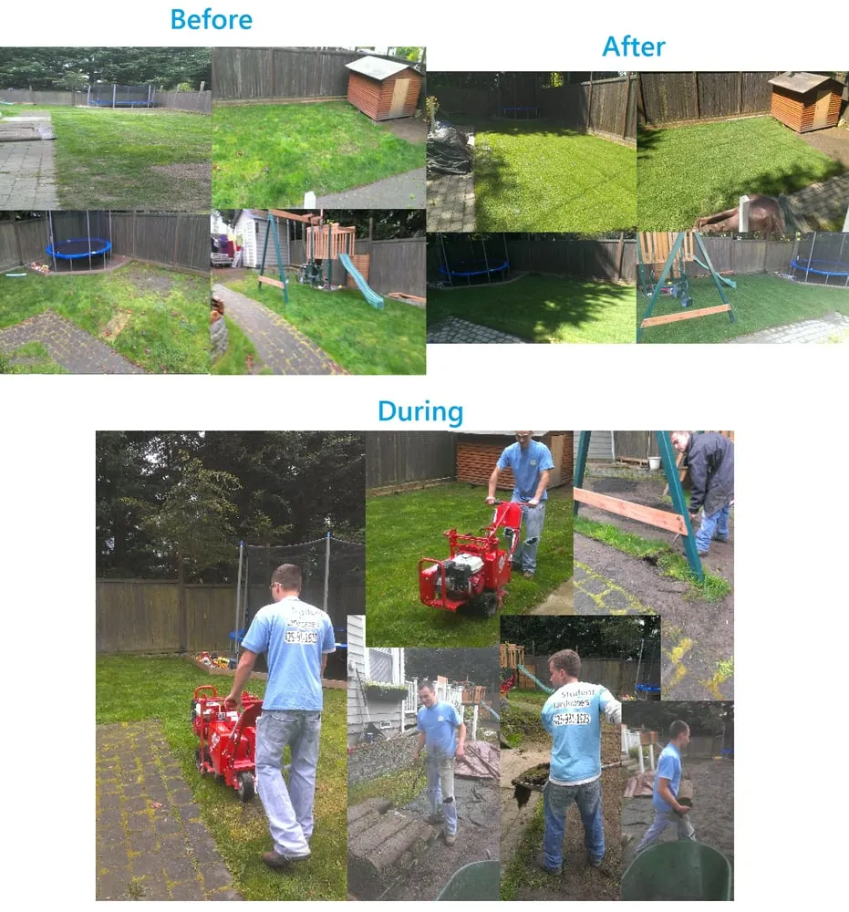 Local yard maintenance in Lynnwood, WA by Student Landscapers and Home Maintenance