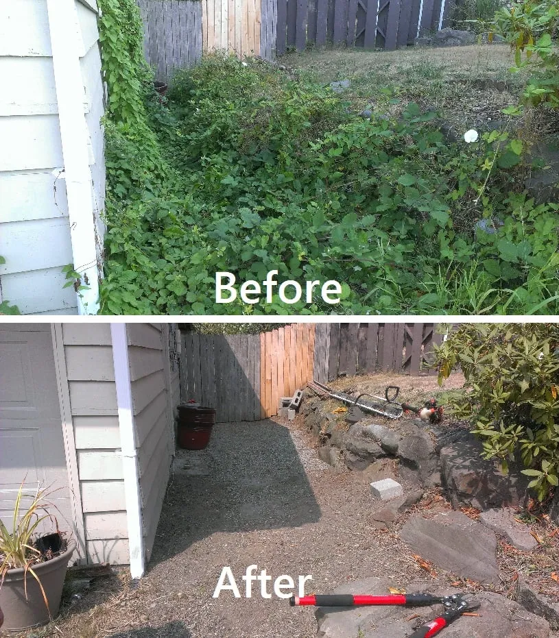 Professional yard cleanup service in Lynnwood, WA by Student Landscapers and Home Maintenance