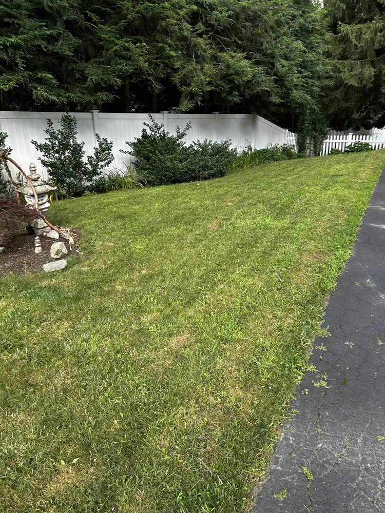 Expert landscape design experts serving Needham, MA - Student Services