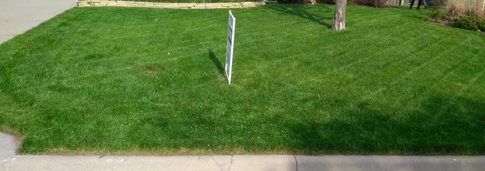 Custom yard cleanup service in Wichita, KS by Student StartUp