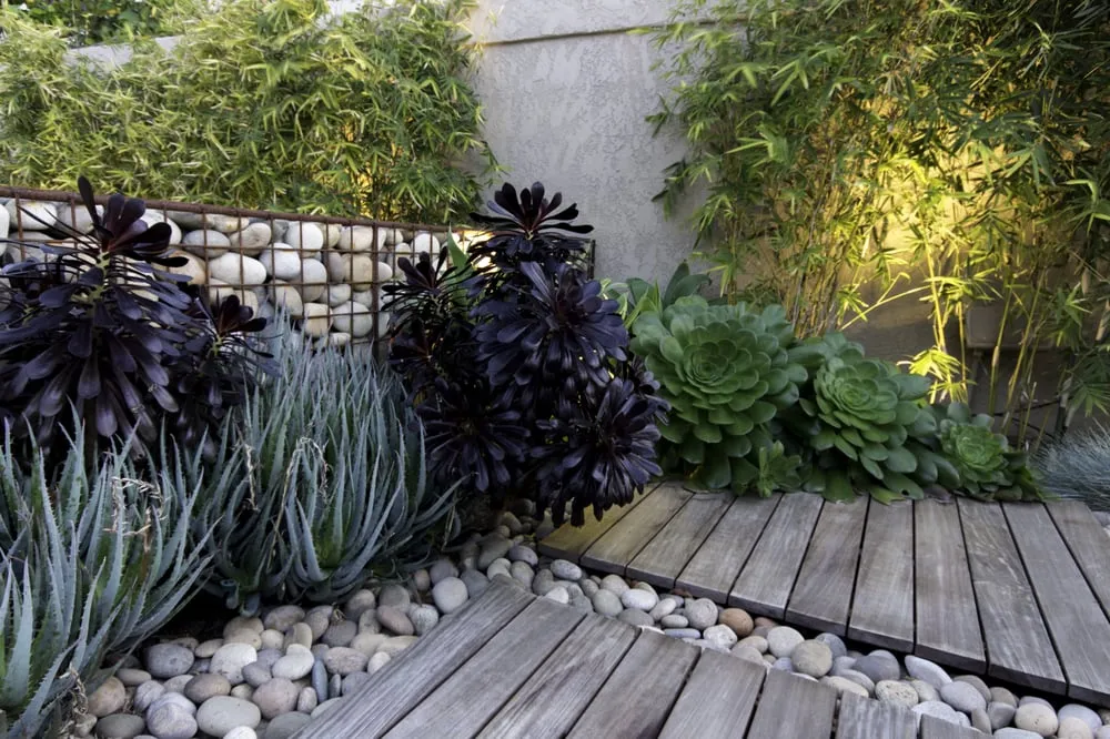 Professional landscape installation near you across Los Angeles, CA - Studio H Landscape Architecture