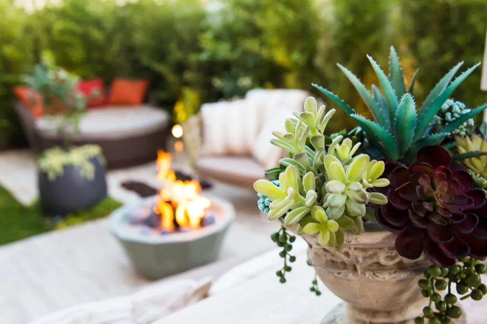 Professional lawn mowing service experts serving Los Angeles, CA - Studio H Landscape Architecture