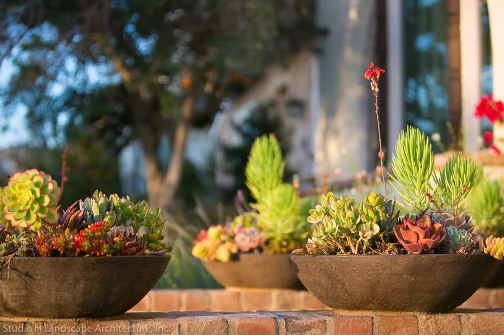 Top-rated outdoor landscaping near you across Los Angeles, CA - Studio H Landscape Architecture