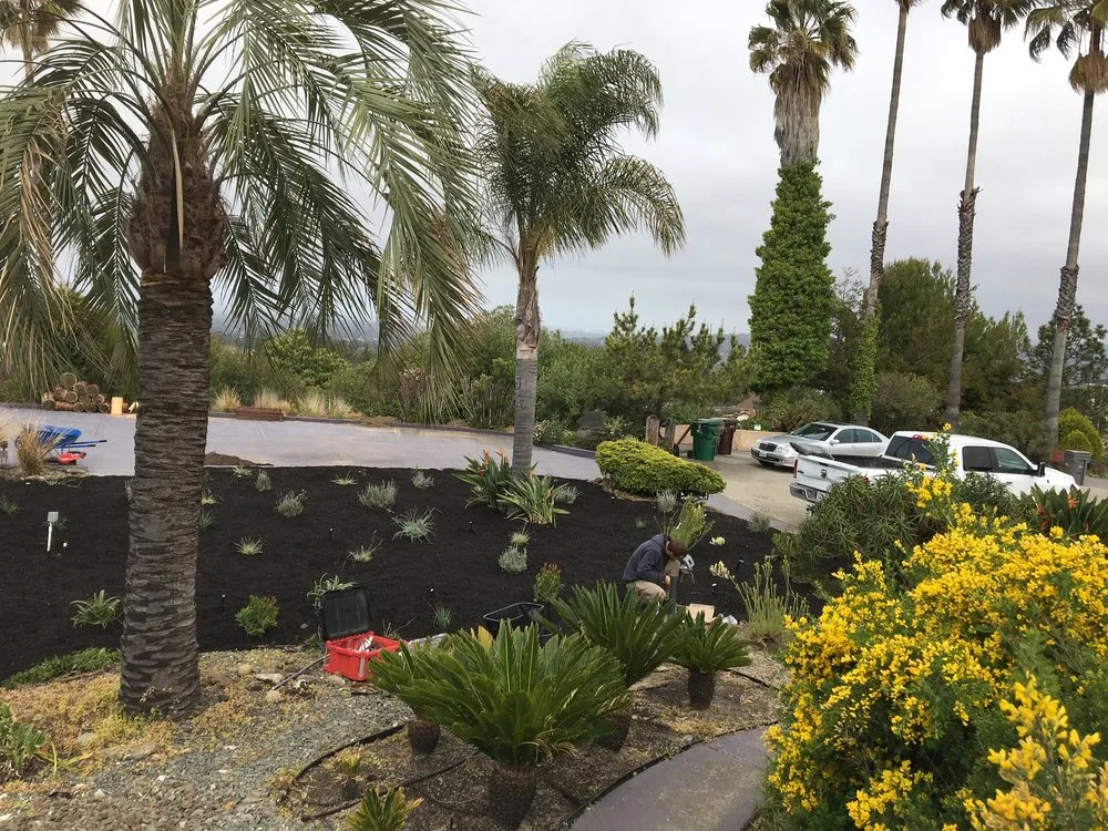 Trusted lawn mowing service near you across Oakland, CA - Studio One