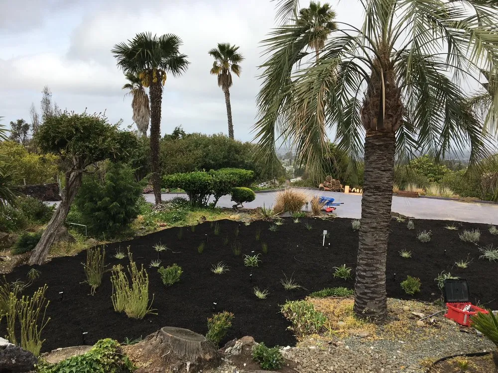 Affordable garden landscaping experts serving Oakland, CA - Studio One