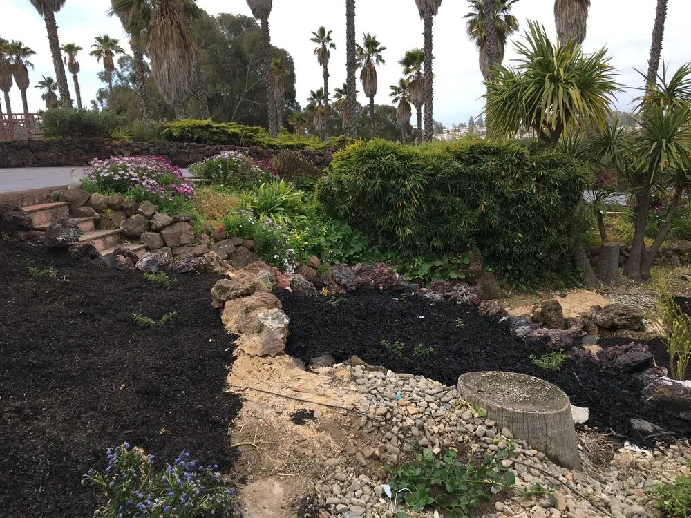 Local outdoor landscaping in Oakland, CA by Studio One