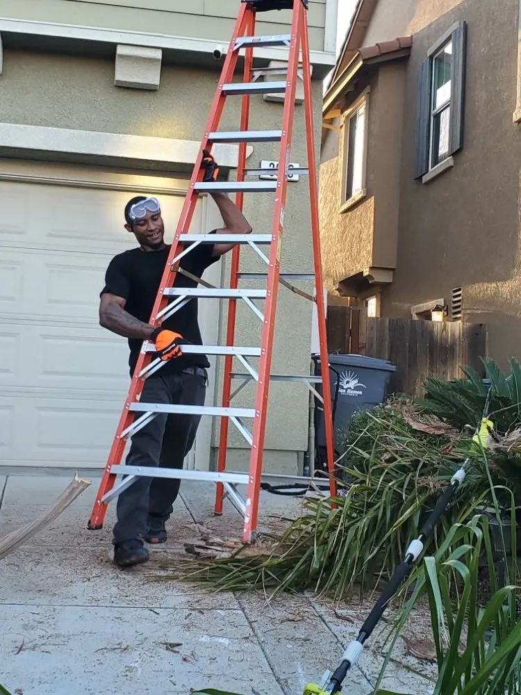 Custom garden landscaping in Oakland, CA by Studio One