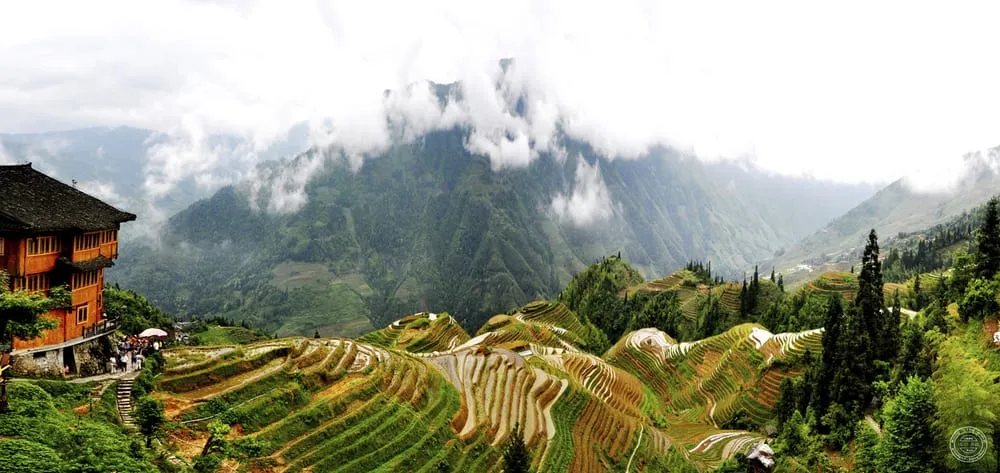 Custom landscape installation in Fort Collins, CO - Studio Terrace Inc