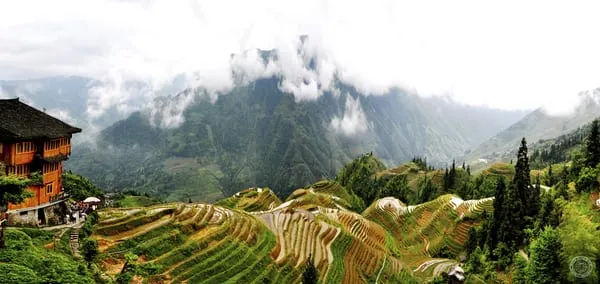 Studio Terrace Inc Logo