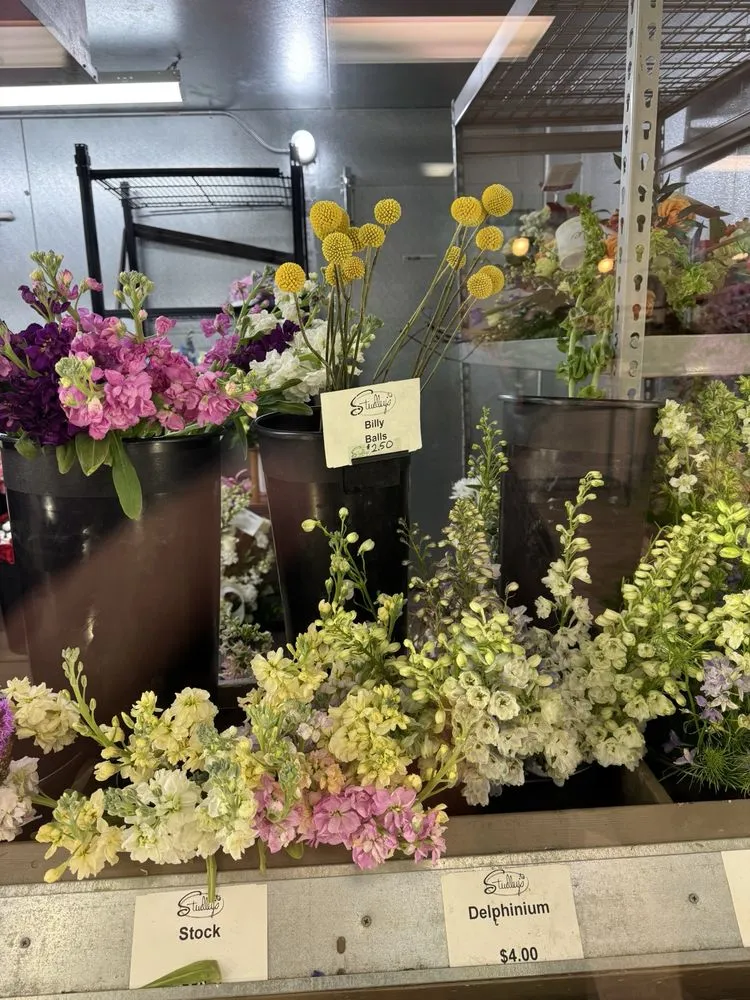 Expert residential landscaping experts serving Rochester, NH - Studley's Flower Gardens