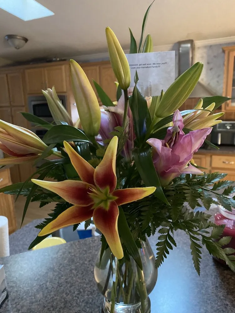 Expert landscape installation for beautiful yards across Rochester, NH - Studley's Flower Gardens