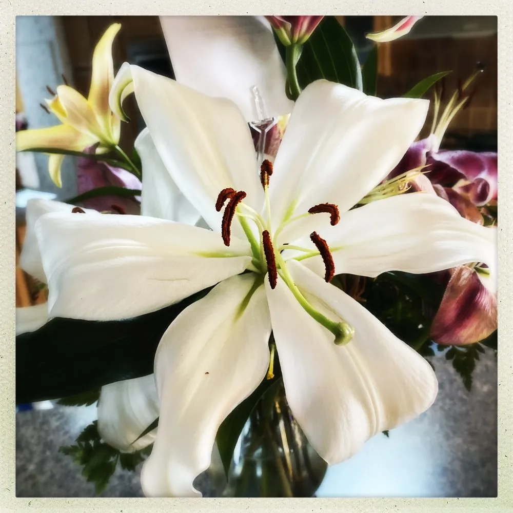 Trusted garden landscaping with custom design across Rochester, NH - Studley's Flower Gardens