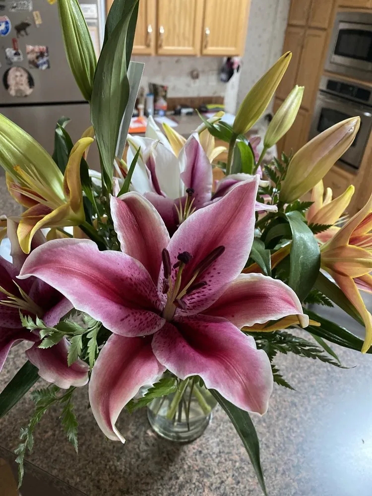 Local lawn mowing service experts serving Rochester, NH - Studley's Flower Gardens