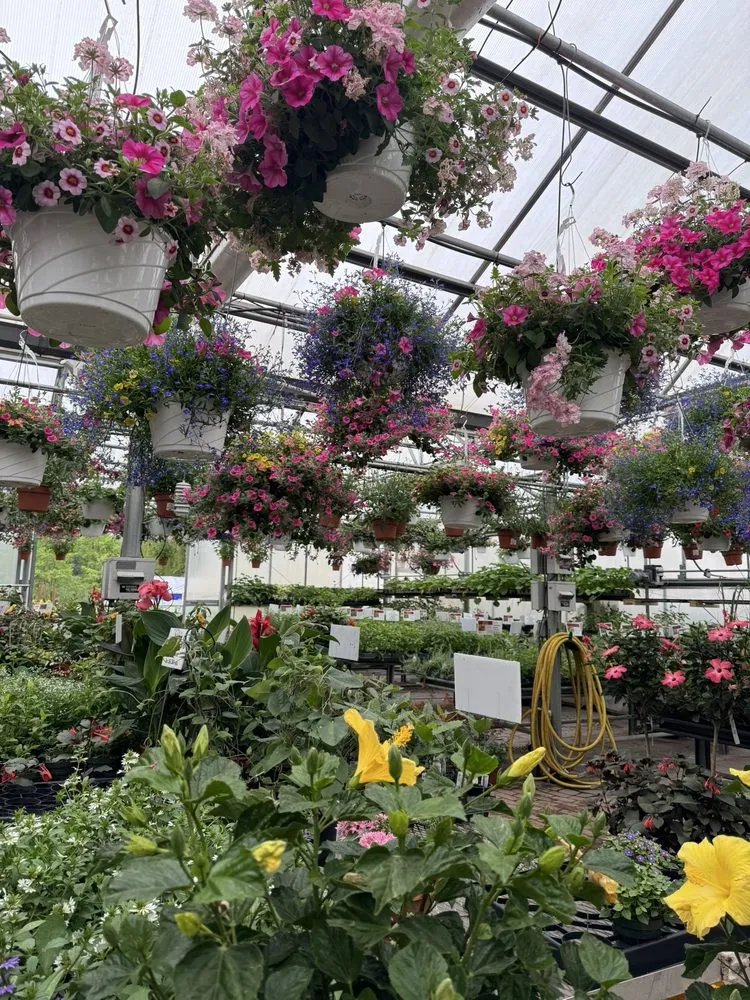 Local yard cleanup service for outdoor upgrades in Rochester, NH by Studley's Flower Gardens