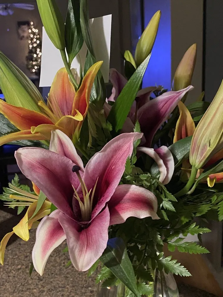 Local lawn care service for year-round maintenance in Rochester, NH by Studley's Flower Gardens