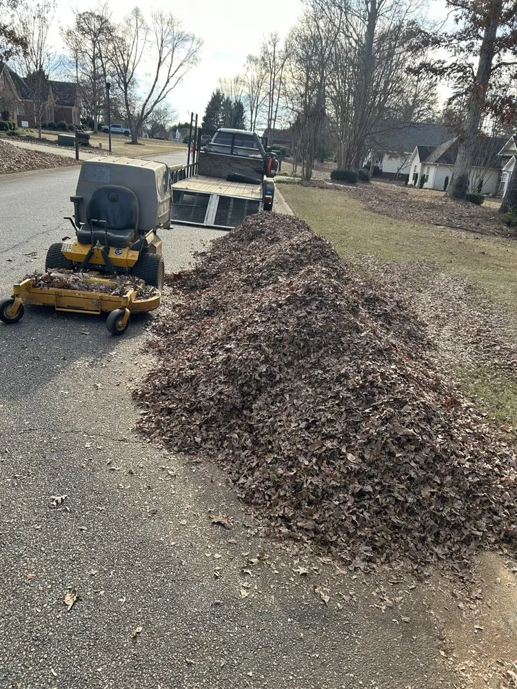 Reliable yard cleanup service in Inman, SC by Stukes Lawn Service