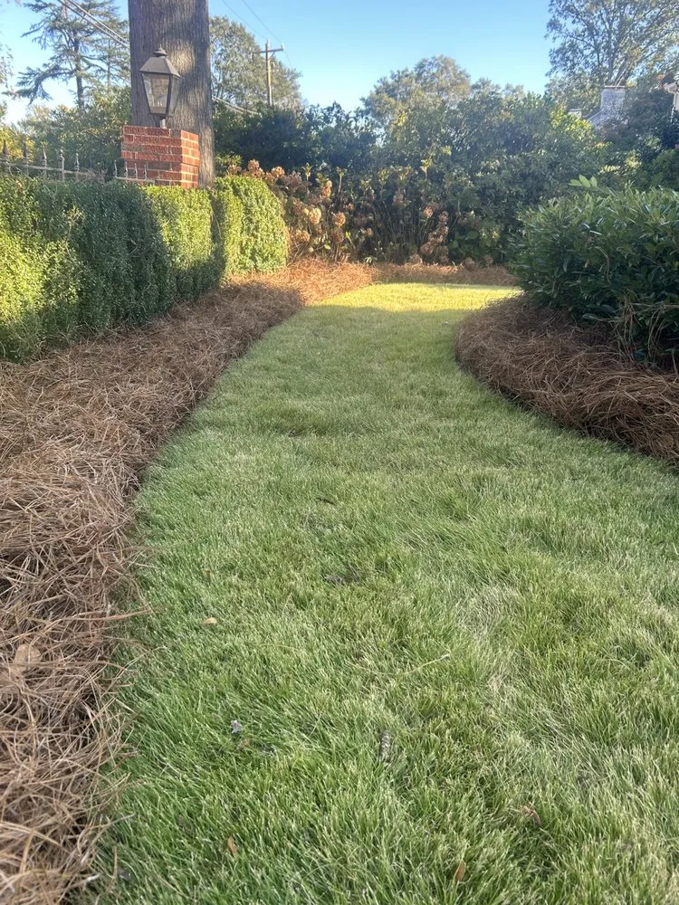 Expert landscape installation near you in Inman, SC by Stukes Lawn Service