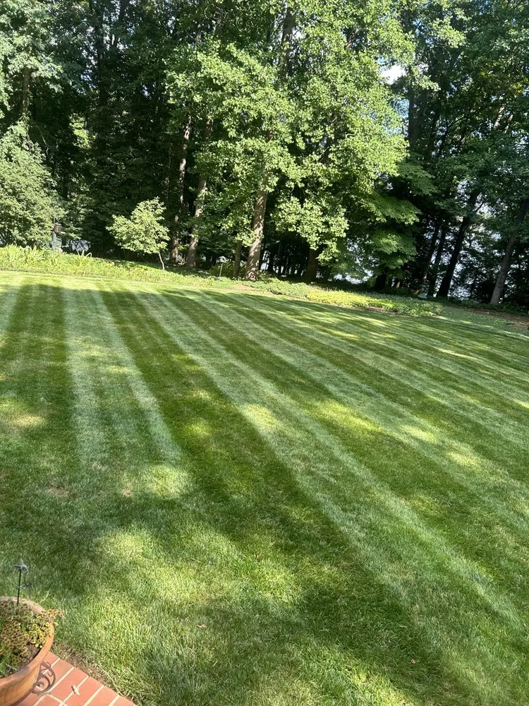 Custom landscape installation in Inman, SC by Stukes Lawn Service