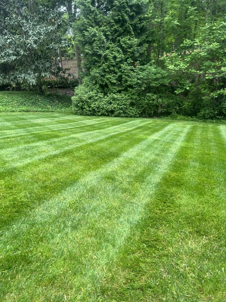 Expert lawn mowing service for beautiful yards in Inman, SC by Stukes Lawn Service