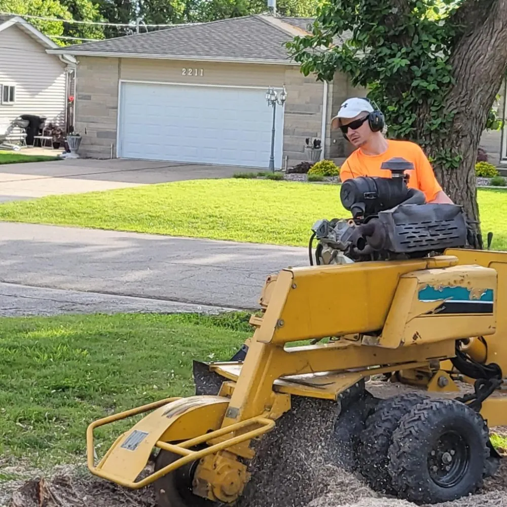 Professional landscaping services in Decatur, IL - Stump - It - Out