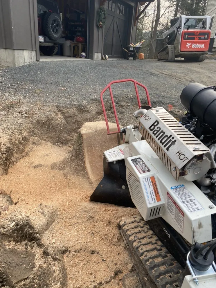 Custom lawn mowing service in Longmeadow, MA - Stump & Grind