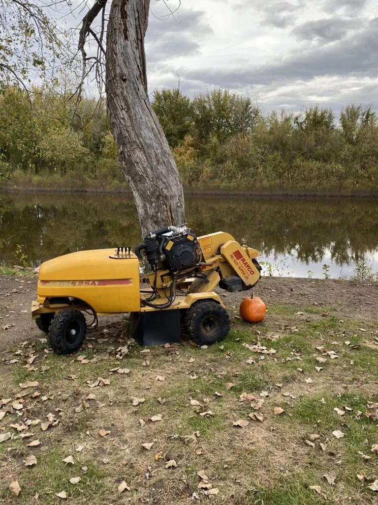 Expert outdoor landscaping in Longmeadow, MA - Stump & Grind