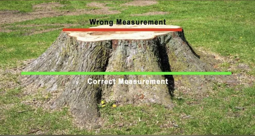 Top-rated outdoor landscaping for residential properties across Longmeadow, MA - Stump & Grind