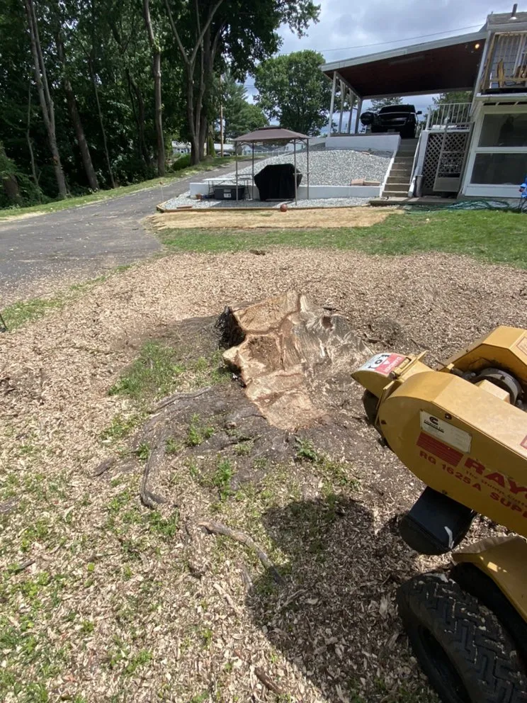 Top-rated landscape design near you in Longmeadow, MA by Stump & Grind