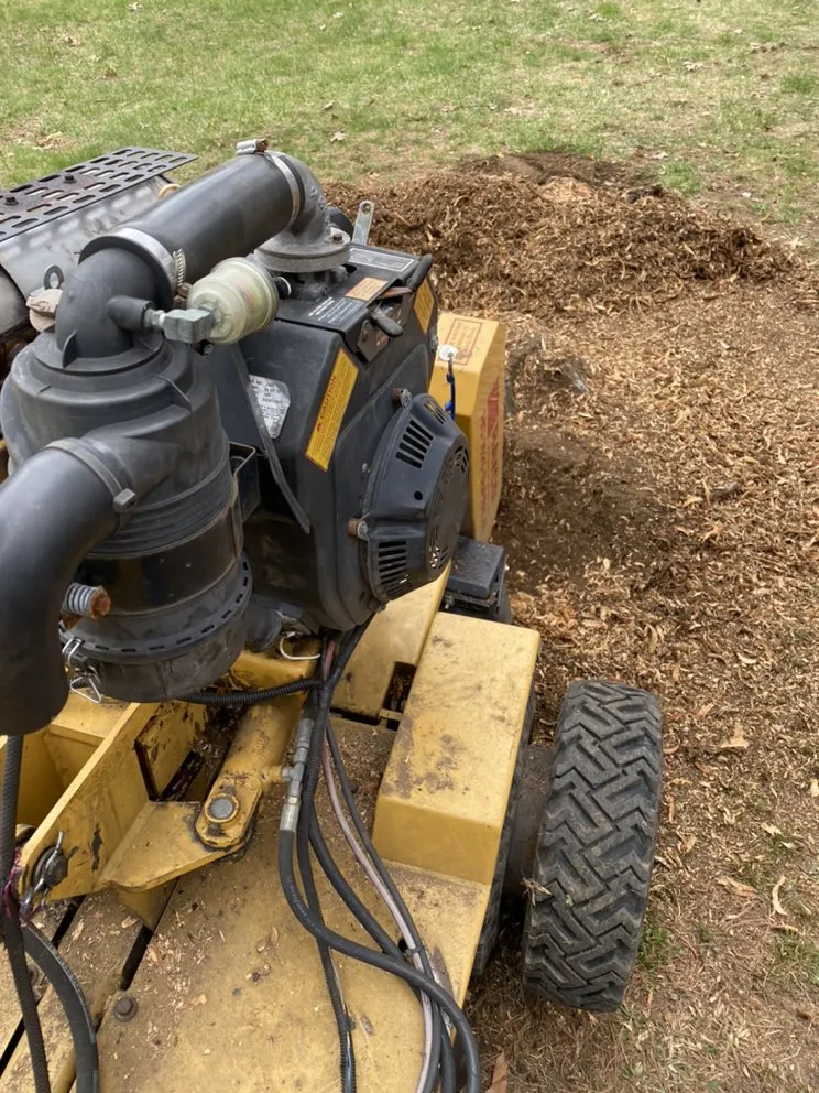 Professional landscaping services in Longmeadow, MA - Stump & Grind