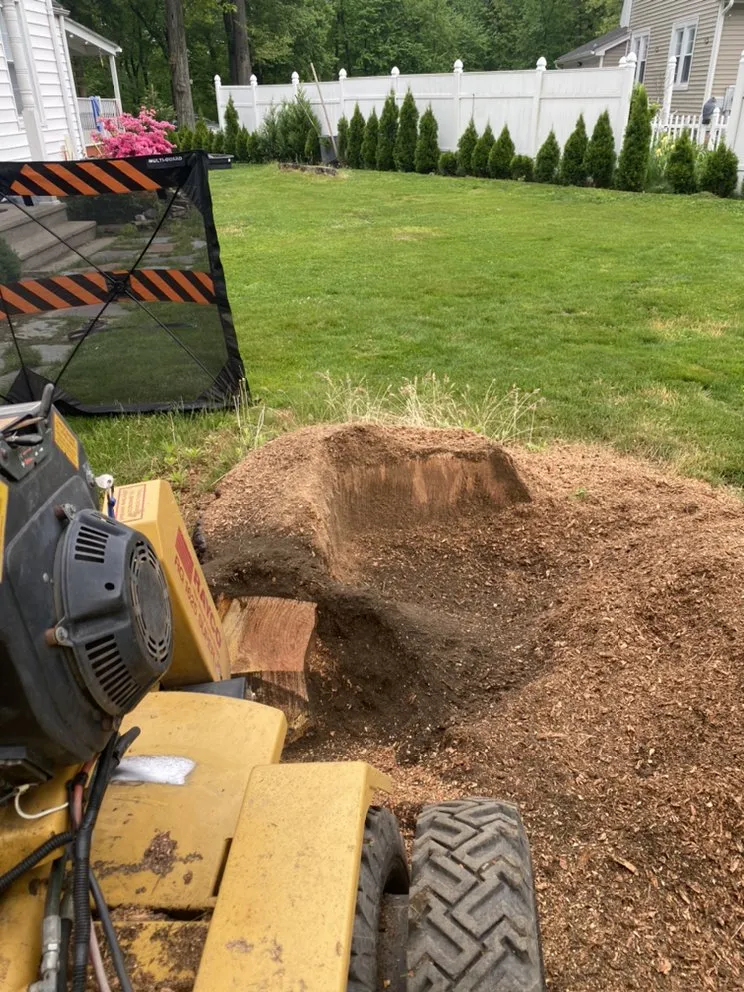 Trusted landscape installation experts serving Longmeadow, MA - Stump & Grind