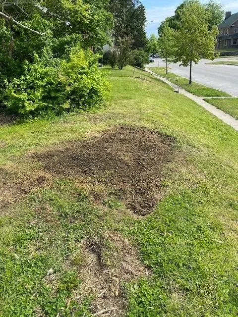 Professional landscape design for outdoor upgrades across Terre Haute, IN - Stump and Grind