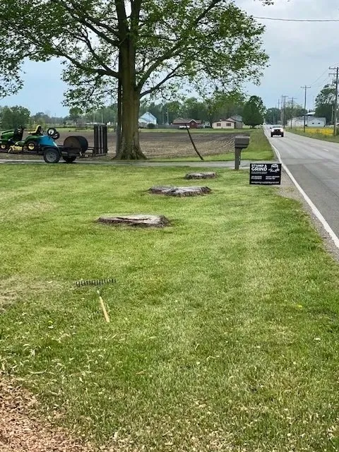 Professional outdoor landscaping for residential properties across Terre Haute, IN - Stump and Grind