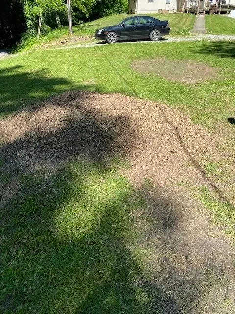 Reliable landscape installation for homes across Terre Haute, IN - Stump and Grind