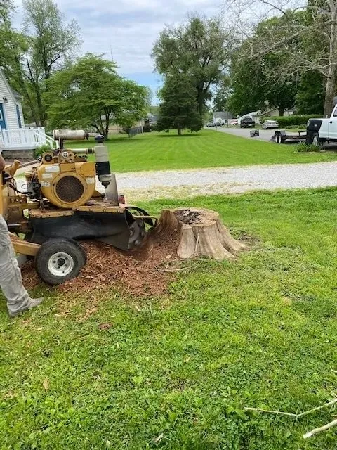 Top-rated lawn mowing service near you in Terre Haute, IN by Stump and Grind