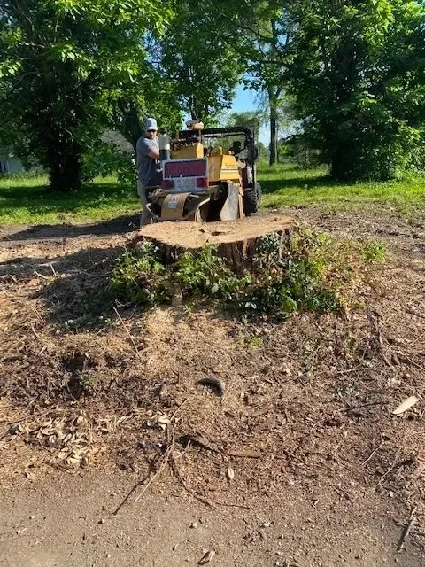 Reliable residential landscaping experts serving Terre Haute, IN - Stump and Grind