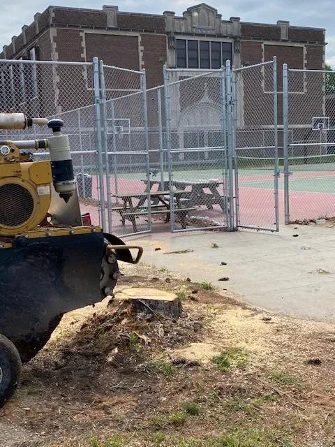 Professional landscape installation with custom design in Terre Haute, IN by Stump and Grind