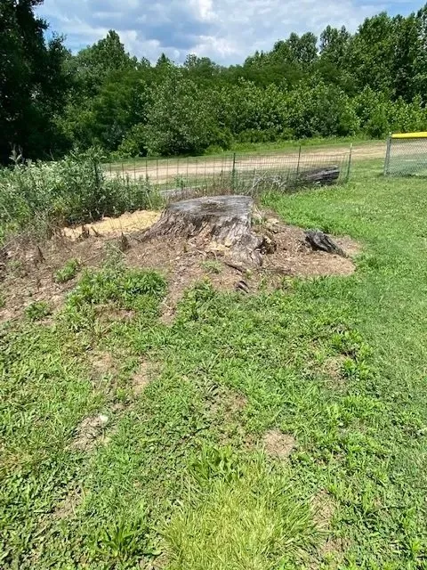 Affordable residential landscaping for year-round maintenance across Terre Haute, IN - Stump and Grind