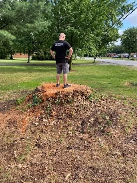 Professional residential landscaping experts serving Terre Haute, IN - Stump and Grind