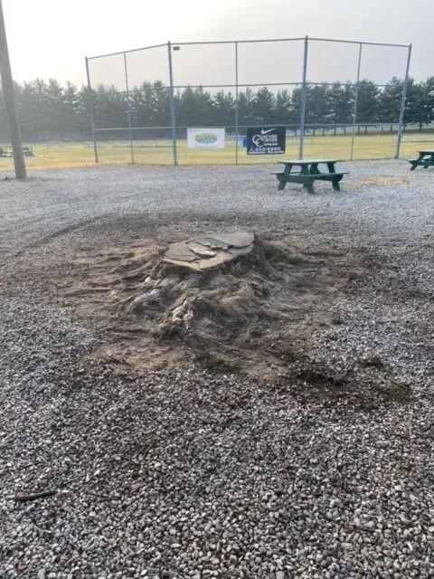 Trusted lawn care service for beautiful yards across Terre Haute, IN - Stump and Grind