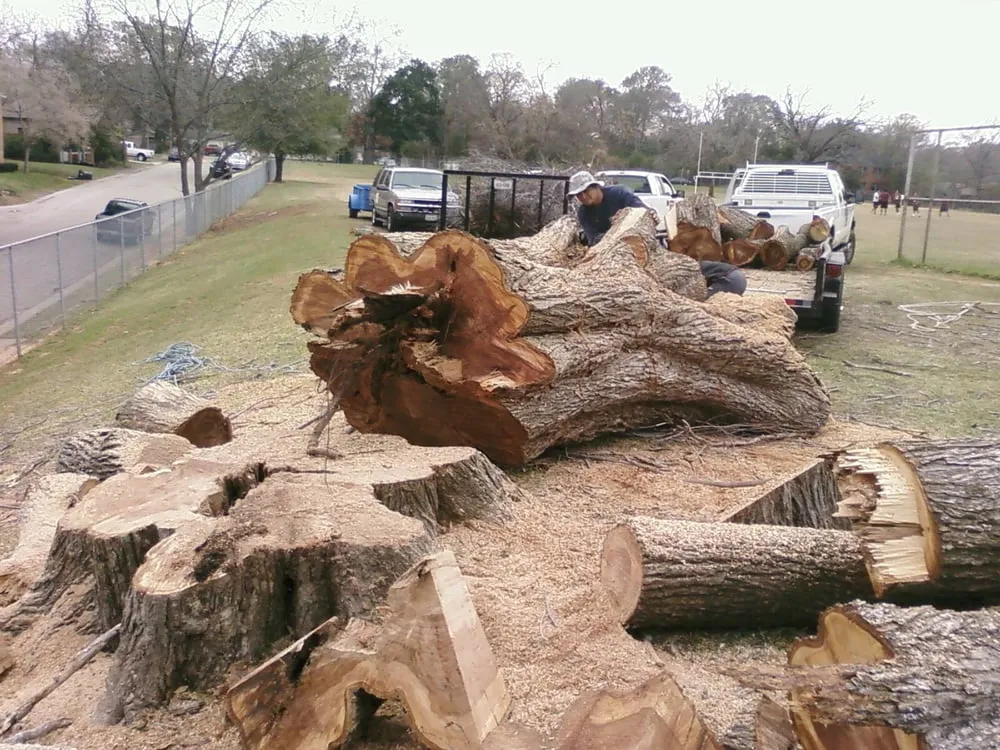 Professional outdoor landscaping in Tyler, TX - Stump-And-Grind