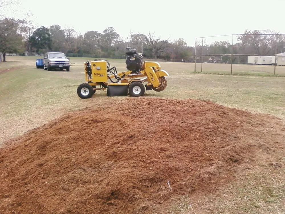 Expert landscape design in Tyler, TX - Stump-And-Grind