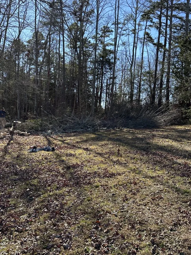 Reliable outdoor landscaping in Sharon, SC - Stump Away Landscaping