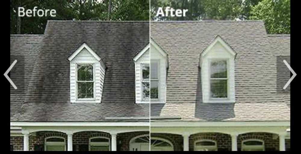 Expert yard cleanup service in Sharon, SC - Stump Away Landscaping